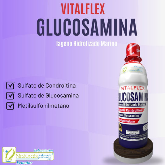 VITALFLEX - SULFATO DE GLUCOSAMINA